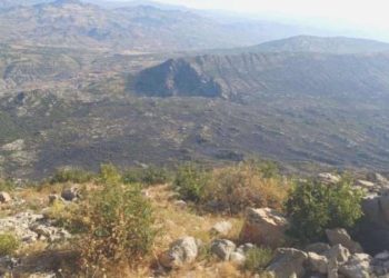 Diyarbakır’daki orman yangını 25 saat sonra denetim altına alındı