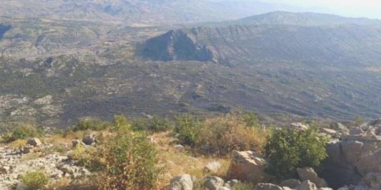 Diyarbakır’daki orman yangını 25 saat sonra denetim altına alındı