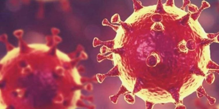 DSÖ, Covid-19’un ‘BA.2.86’ varyantını ‘gözlem altındaki varyant’ olarak güncelledi