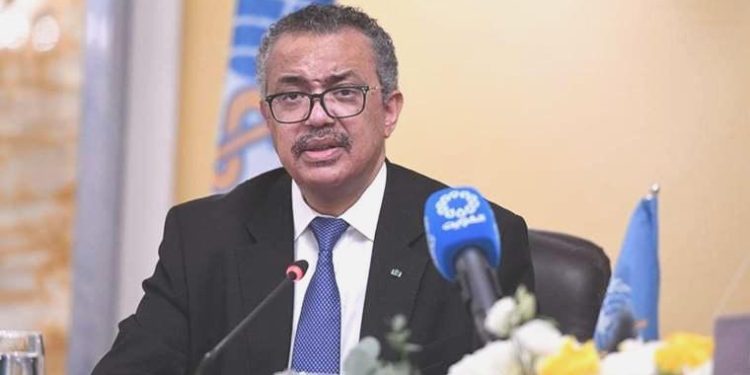 DSÖ’den ‘iklim değişikliği’ uyarısı: Şu anda gerçekleşiyor