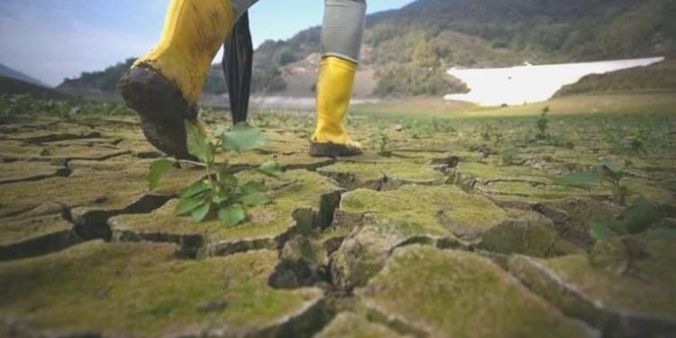 Dünya’da 25 ülke su kriziyle karşı karşıya