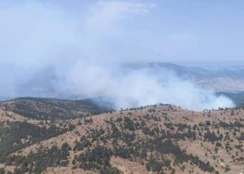 Eskişehir’de çıkan orman yangını denetim altında