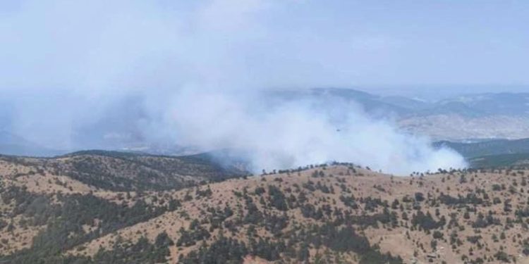 Eskişehir’de çıkan orman yangını denetim altında