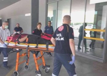 Gemideki yalıtım gereçleri yandı: 10 emekçi zehirlenme kuşkusuyla hastaneye kaldırıldı