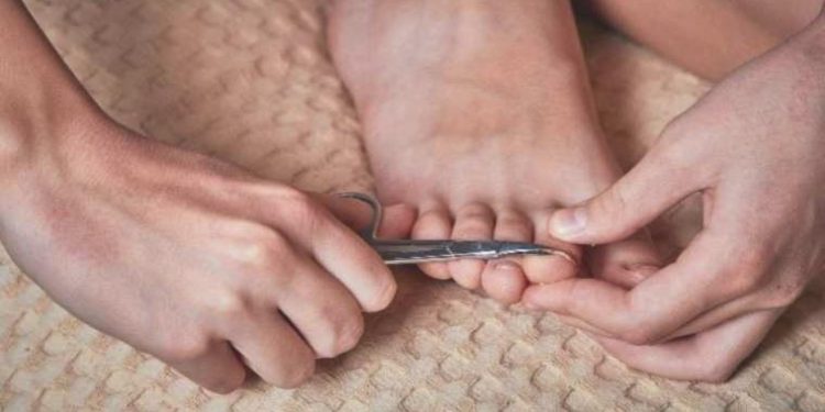 İnsanların yüzde 45’inde olmayan kemik hangisi?