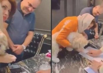 İran’da emlakçı, konutu bir köpeğe devrettikten sonra tutuklandı
