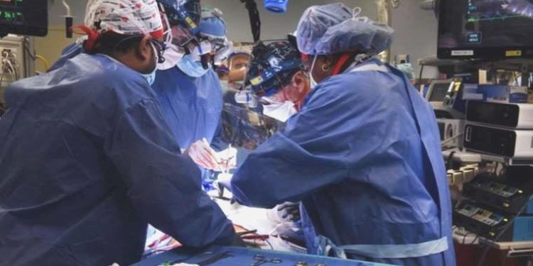 ‘İşe yaramaz’ sanılan organın kanserle savaşabileceği ortaya çıktı