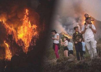 İspanya’daki Kanarya Adaları alevlere teslim: 12 bin kişi tahliye edildi