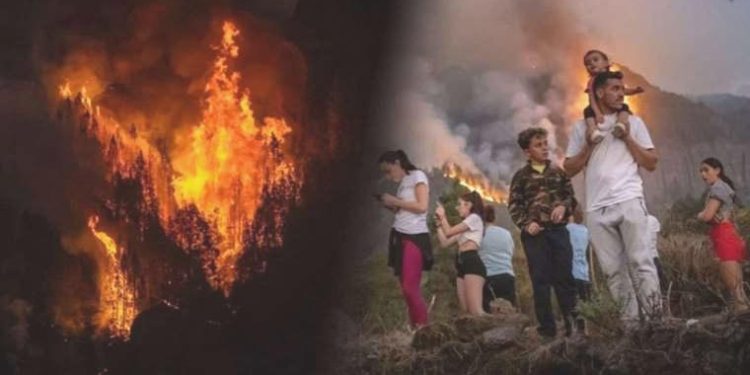 İspanya’daki Kanarya Adaları alevlere teslim: 12 bin kişi tahliye edildi