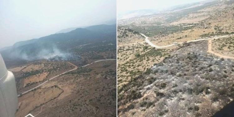 İzmir Aliağa’da orman yangını