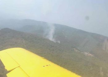 İzmir’de çıkan orman yangını denetim altına alındı