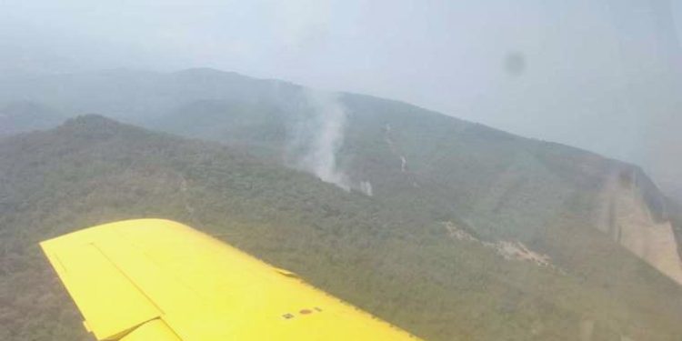 İzmir’de çıkan orman yangını denetim altına alındı