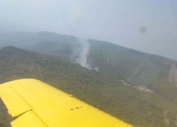 İzmir’de çıkan orman yangını denetim altına alındı