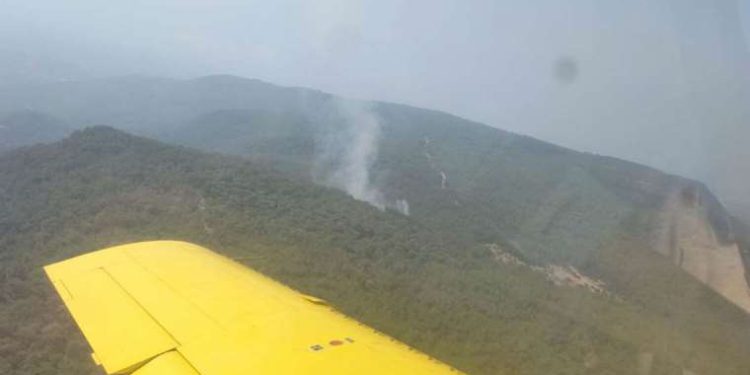 İzmir’de çıkan orman yangını denetim altına alındı