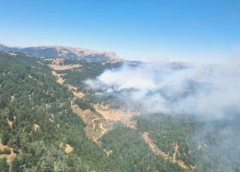 Kahramanmaraş’ta orman yangını! Gruplar müdahale ediyor