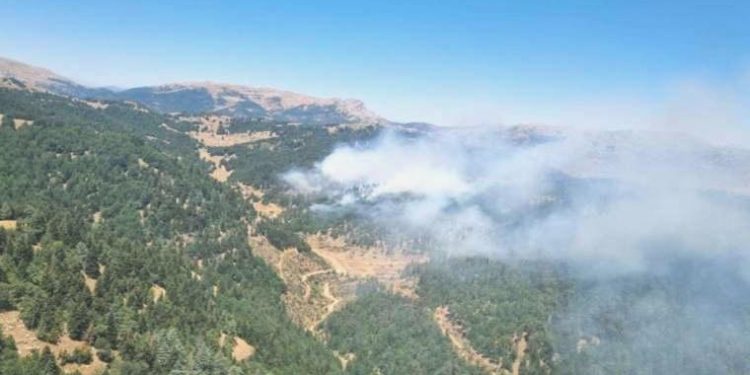 Kahramanmaraş’ta orman yangını! Gruplar müdahale ediyor