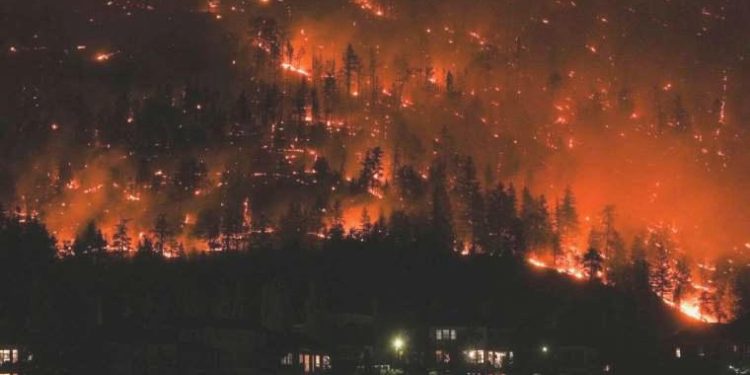 Kanada’da bir eyalette yangınlar nedeniyle acil durum ilan edildi