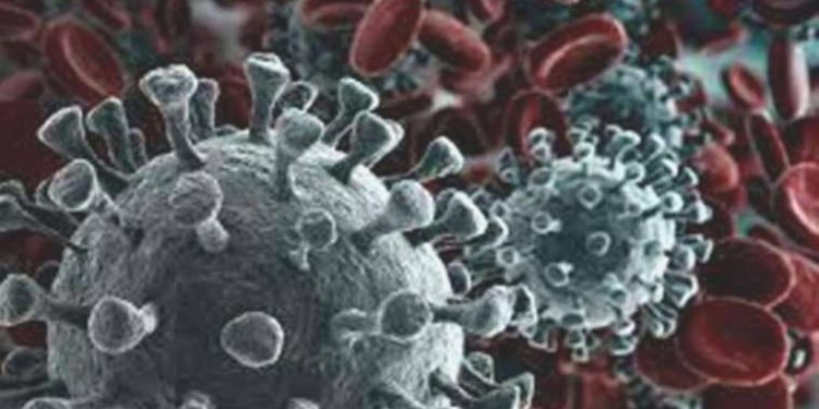 Kanser Riskini Azaltmak İçin Ömür Usulü Değişiklikleri: Uzmandan İhtarlar