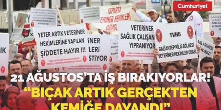 Kedisinin vefatından veterineri sorumlu tutup darbetmişti! Veterinerler 21 Ağustos’ta işi bırakıyor