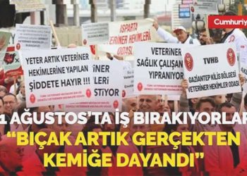 Kedisinin vefatından veterineri sorumlu tutup darbetmişti! Veterinerler 21 Ağustos’ta işi bırakıyor