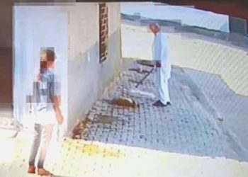Kızıltepe’de vahşet: Bastonuyla köpeği öldüren şahıs gözaltına alındı