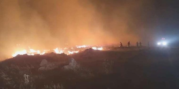 Niğde’de mera yangını: Müdahale için yola çıkan itfaiyeciler kaza yaptı