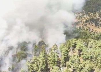 Son Dakika: Antalya’da orman yangını