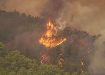Tenerife Adası yanıyor: Binlerce hektarlık alan küle döndü