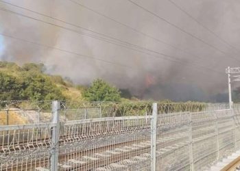 TÜBİTAK’ın ormanlık alanında yangın!