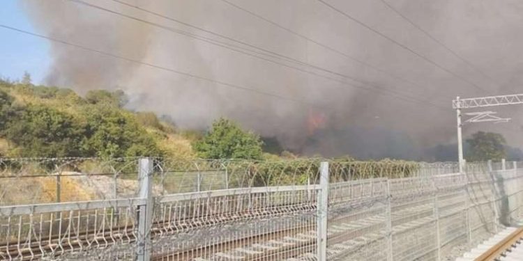 TÜBİTAK’ın ormanlık alanında yangın!