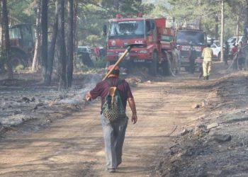 Türkiye’de dün en az sekiz kentte yangın çıktı