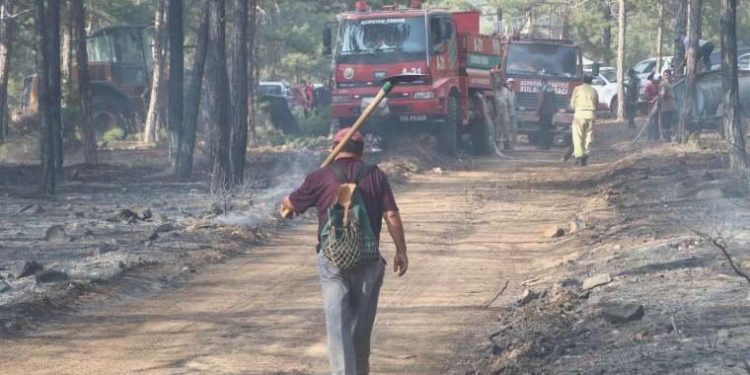 Türkiye’de dün en az sekiz kentte yangın çıktı