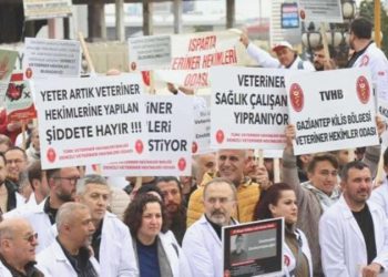 Veteriner tabipler iş bırakıyor: Sıhhatte Şiddet Yasası kapsamına alınmak istiyorlar