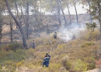 Yunanistan’ın Dedeağaç vilayetindeki yangın nedeniyle bölgede acil durum ilan edildi