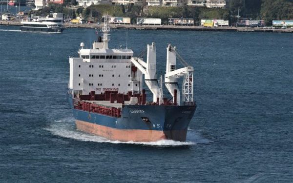 Ukrayna basını: Rusya işgal ettiği bölgelerde Ukraynalı çiftçilerin tahıllarını BAE bağlantılı bir şirketle Türkiye’ye ihraç etti