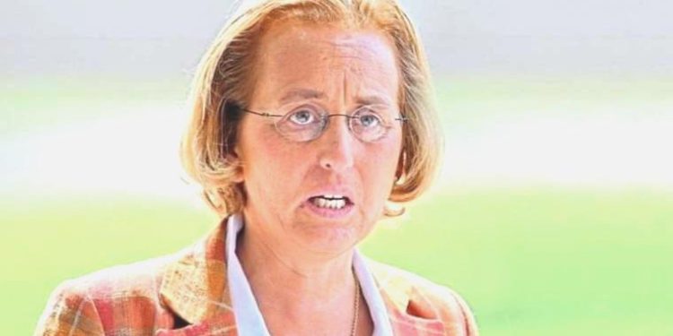 Almanya’da AfD’li siyasetçiye dışkı fırlatıldı