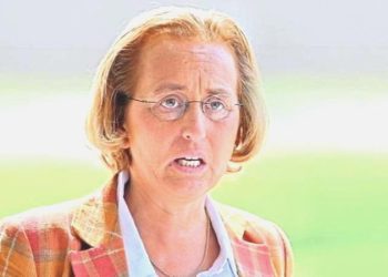 Almanya’da AfD’li siyasetçiye dışkı fırlatıldı