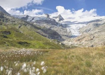 Avusturya Alpleri’nde 22 yıl evvel kaybolan bir kişinin cesedi bulundu