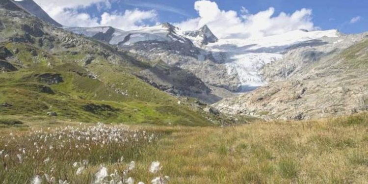 Avusturya Alpleri’nde 22 yıl evvel kaybolan bir kişinin cesedi bulundu