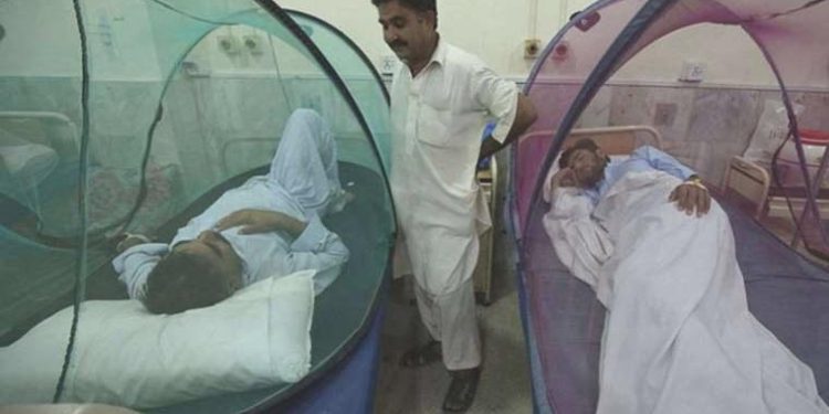 Bangladeş’te dang humması paniği devam ediyor: Hayatını kaybedenlerin sayısı 506’ya çıktı