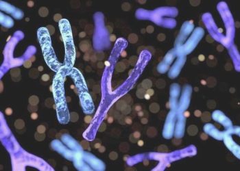 Bilim insanlarından hastalıklara tahlil olabilecek ‘Y kromozomu’ çalışması