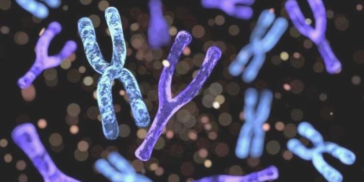 Bilim insanlarından hastalıklara tahlil olabilecek ‘Y kromozomu’ çalışması