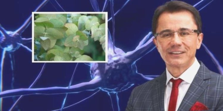 Bir bardakta hafızanız tazelenecek! Dr. Seçkin Saraç’tan hafıza güçlendiren çay tanımı…