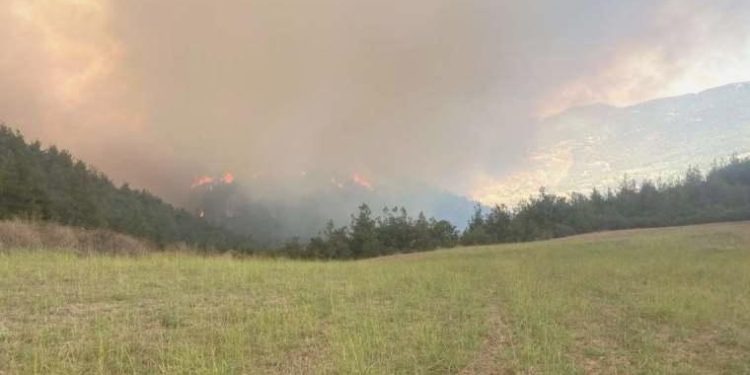Bursa’da orman yangını: Destek helikopter ve yangın söndürme uçağı talep edildi!