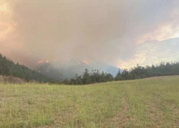Bursa’da orman yangını: Destek helikopter ve yangın söndürme uçağı talep edildi!
