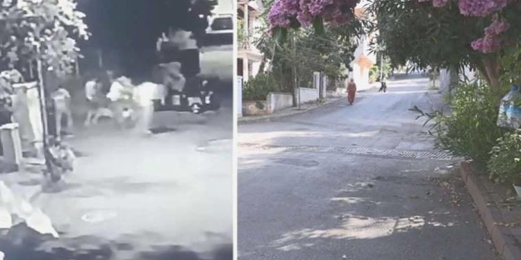 Büyükada’da laf atma arbedesi: 3 yaralı