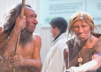 Çağdaş beşere dair 40 bin yıllık keşif