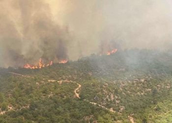 Çanakkale yangınında son durum ne? Çanakkale’de yangını söndürüldü mü?  Çanakkale’deki orman yangınının 3’üncü gün…