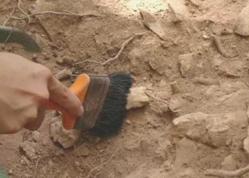 Çanakkale’de bulundu: 86 bin yıllık hayat izi
