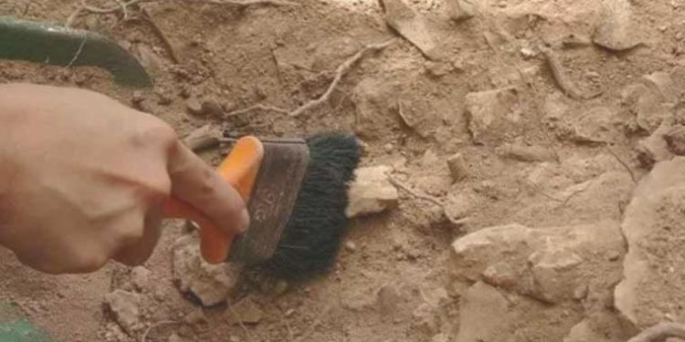 Çanakkale’de bulundu: 86 bin yıllık hayat izi